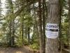 Campsite closed on the Gunflint Trail in late August 2021. Photo by Barbara Jean Meyers